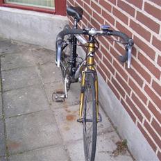 Nishiki Race master
