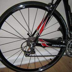 Principia RSL weave C12T