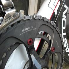 Focus Cayo Expert