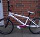 Redline Proline