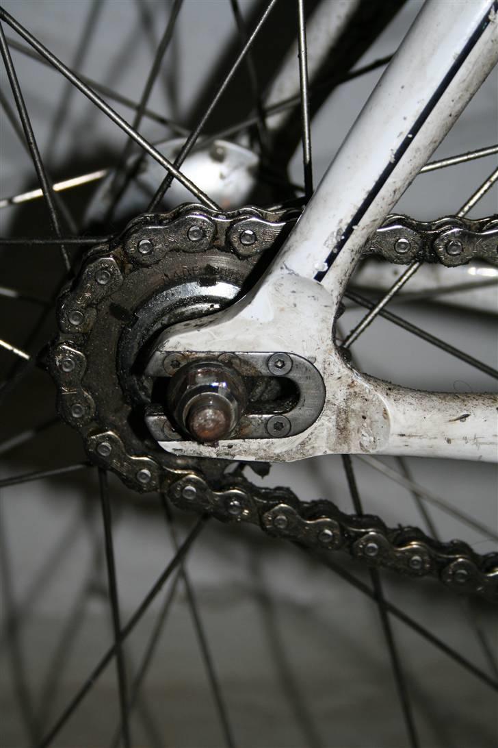 Vision Sprint TSG track billede 7
