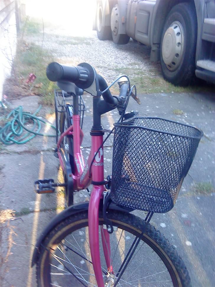 Forza artofbikes billede 2
