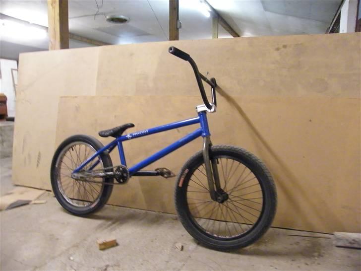 Wethepeople Trust 2008 billede 2