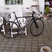 Ebsen Race 2008