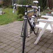 Ebsen Race 2008