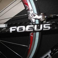 Focus Cayo Expert 08