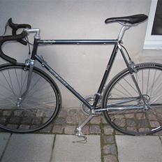 Nishiki Trim Marster (SOLGT)