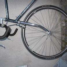 Nishiki Trim Marster (SOLGT)