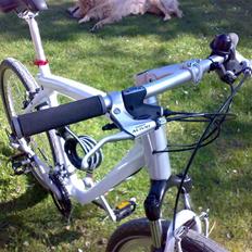 Active BMW Cruisebike