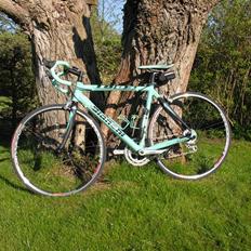 Bianchi 1885