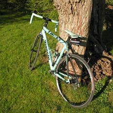 Bianchi 1885
