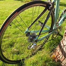 Bianchi 1885