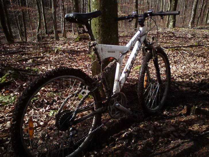 Mustang Arezzo tech line - 24 - Fed tur i fussingø skov, godt med mudder den dag :D billede 16
