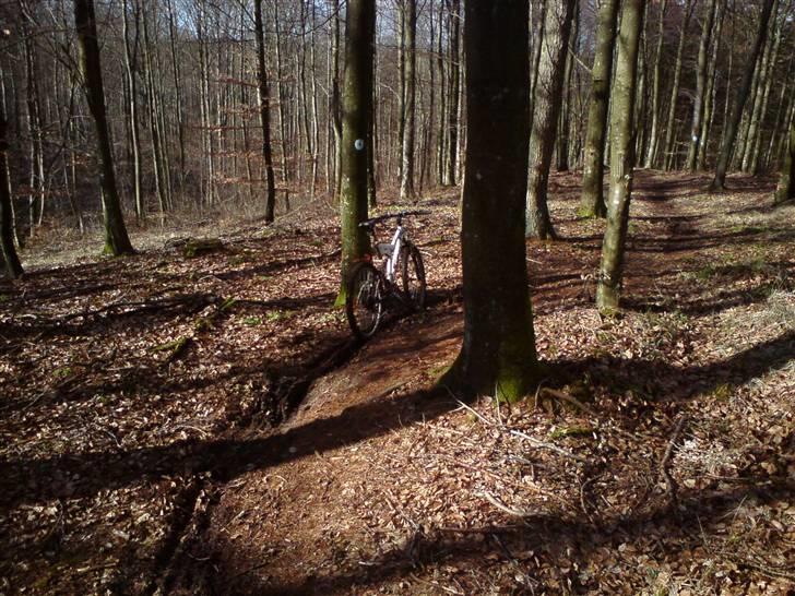 Mustang Arezzo tech line - 24 - Fed tur i fussingø skov, godt med mudder den dag :D billede 17