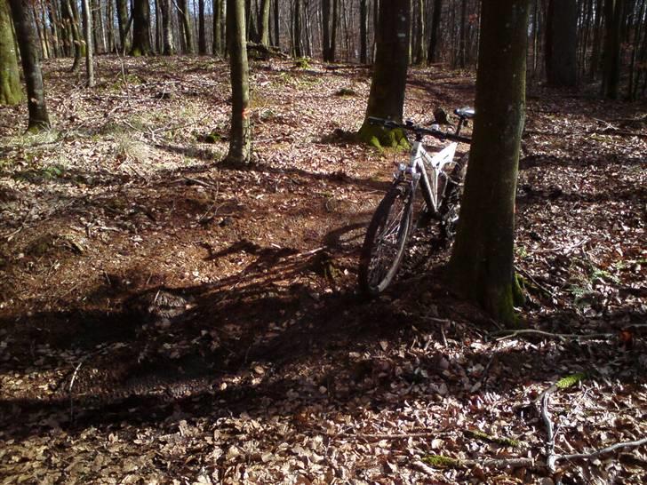Mustang Arezzo tech line - 24 - Fed tur i fussingø skov, godt med mudder den dag :D billede 18