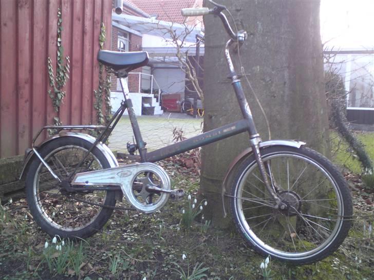 DBS Kombi Lux - Foto shoot ude i baghaven billede 2