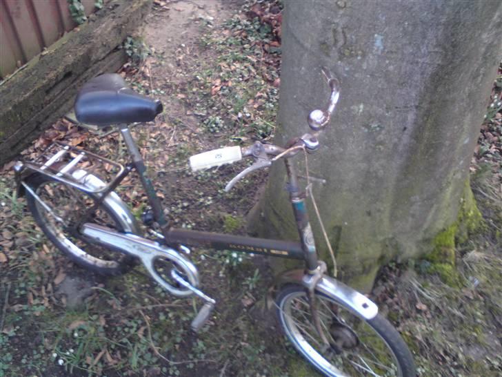 DBS Kombi Lux - Foto shoot ude i baghaven billede 4