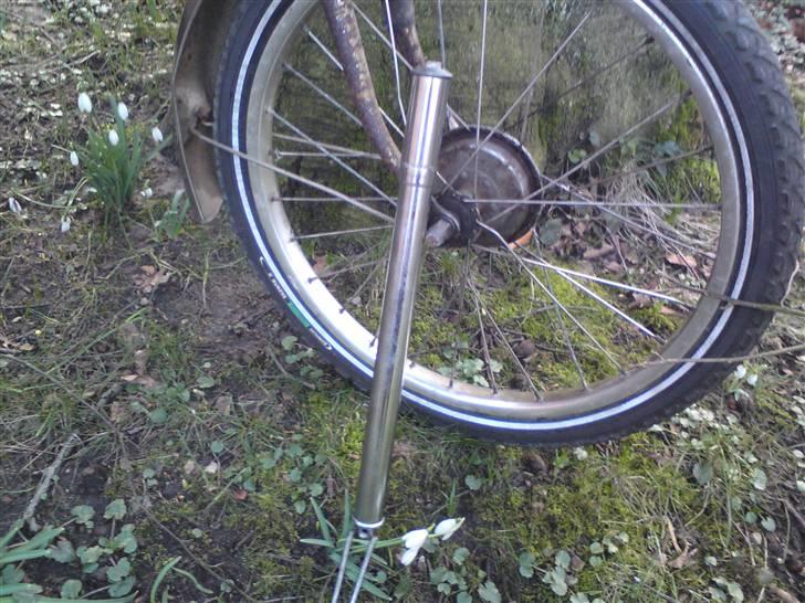 DBS Kombi Lux - Foto shoot ude i baghaven, med orig. krom cykelpumpe billede 5