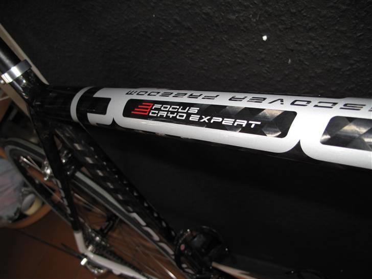 Focus Cayo Expert 08 billede 2