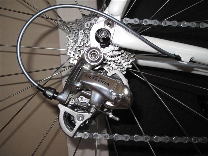 Focus Cayo Expert 08 billede 6