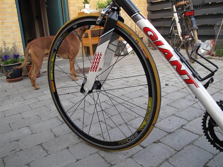 Giant TCR Compact Road  billede 6