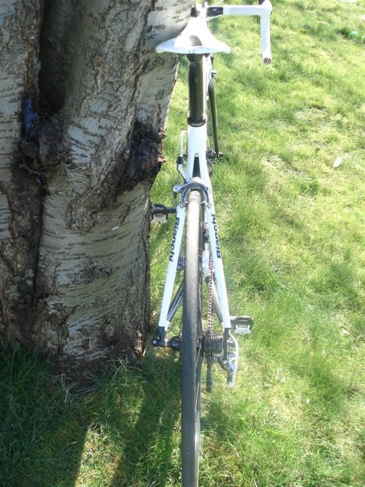Bianchi 928 BP4 T-cube billede 3