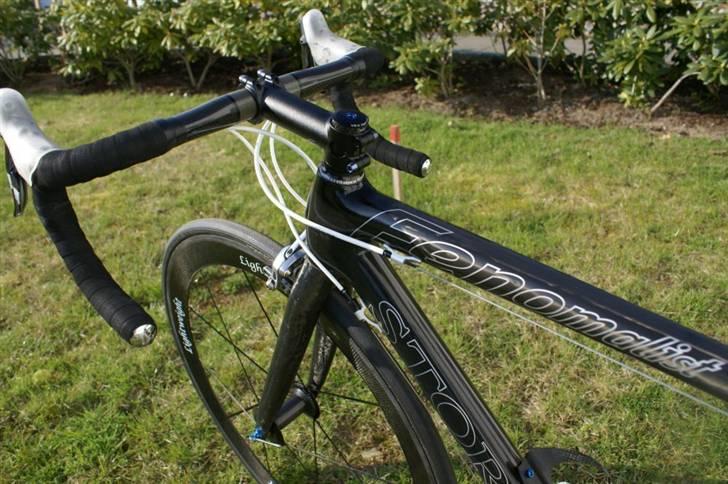 Storck Fenomalist billede 7