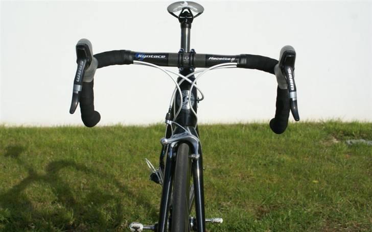 Storck Fenomalist billede 8