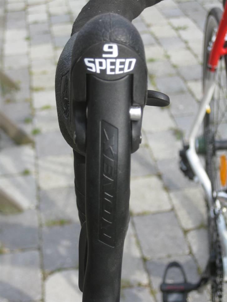 Fausto Coppi Roma billede 6