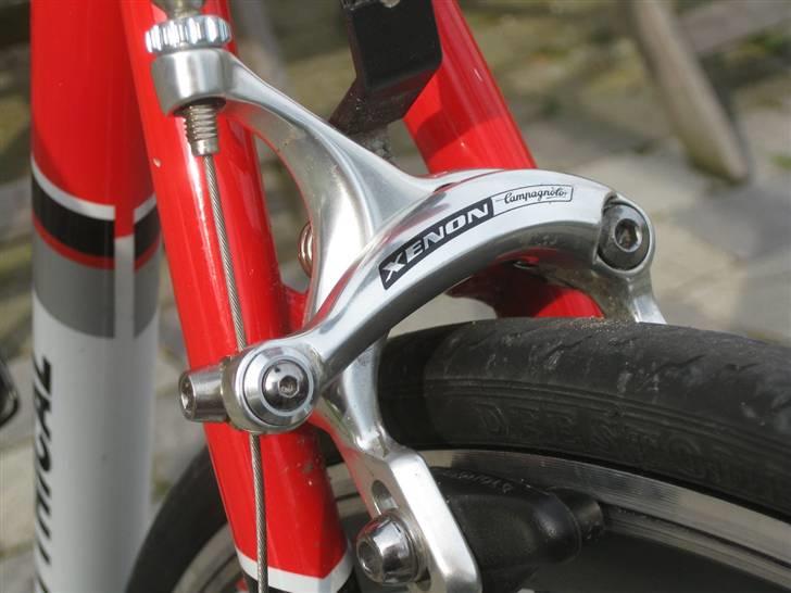 Fausto Coppi Roma billede 9
