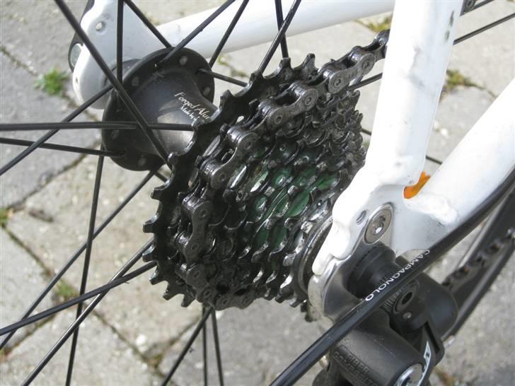 Fausto Coppi Roma billede 10