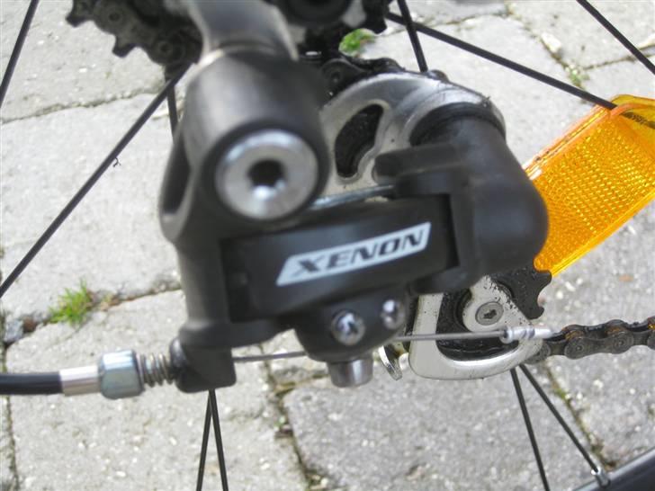 Fausto Coppi Roma billede 11