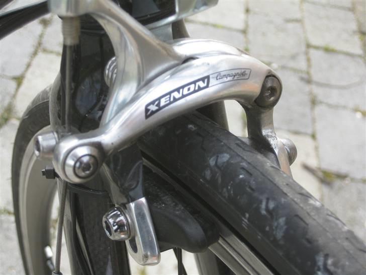 Fausto Coppi Roma billede 12