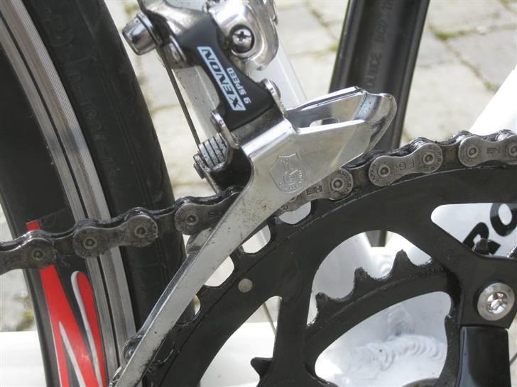 Fausto Coppi Roma billede 13