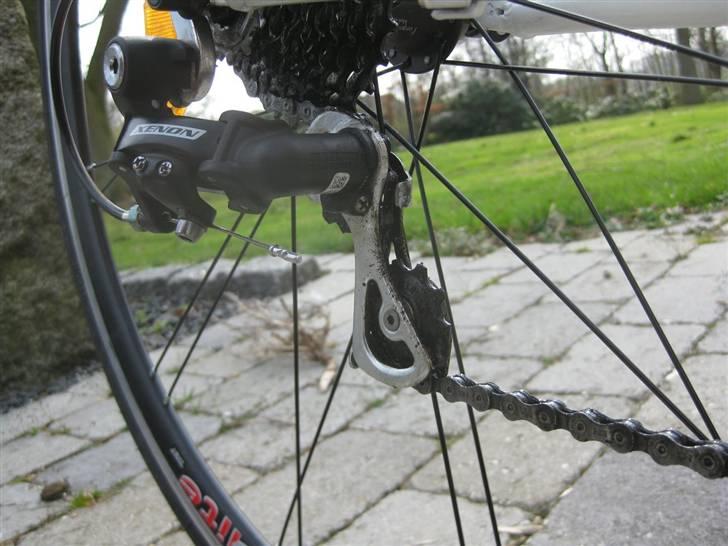 Fausto Coppi Roma billede 15
