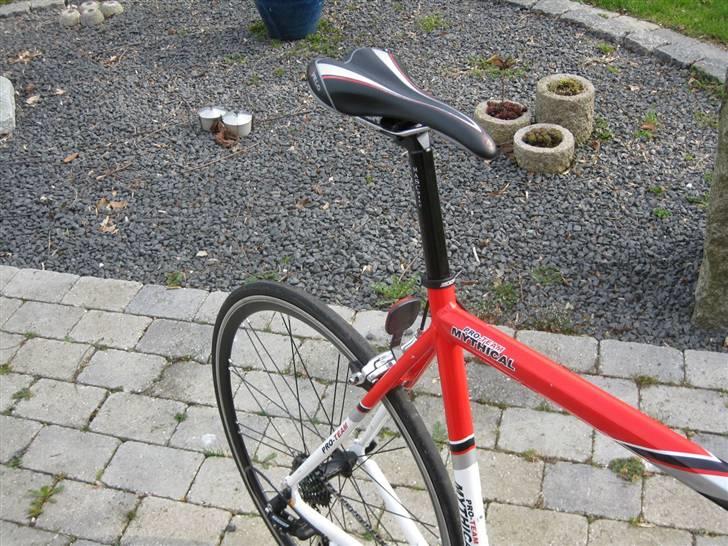 Fausto Coppi Roma billede 19