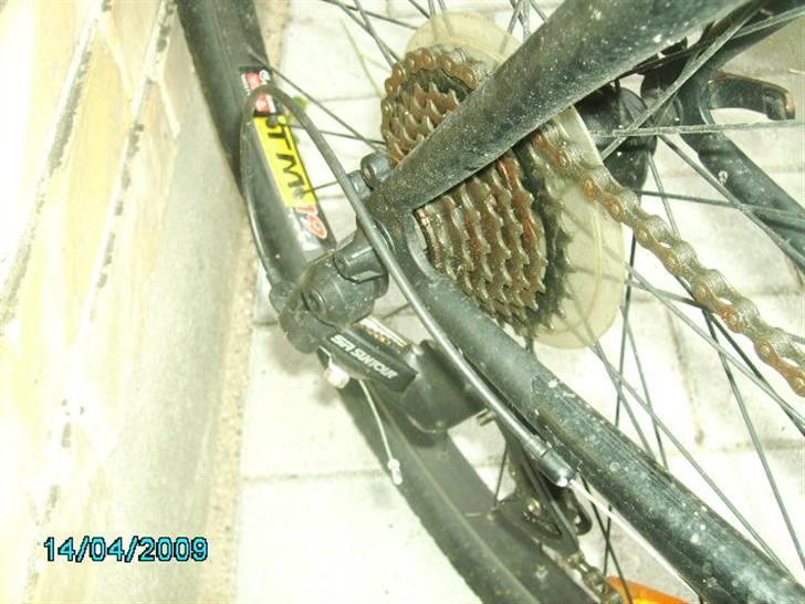 Ripello ripello billede 6