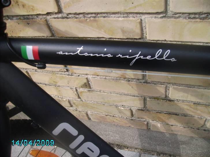 Ripello ripello billede 15