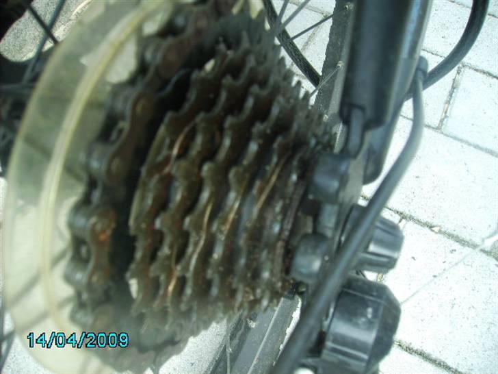 Ripello ripello billede 17