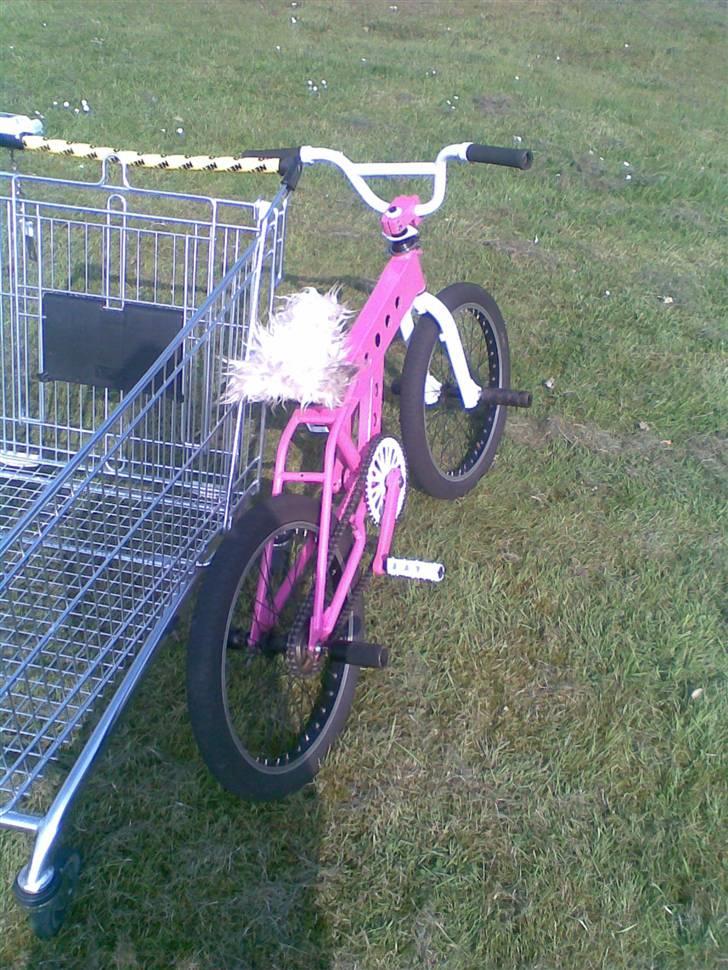 GT costum made billede 3