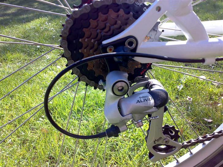 Active BMW Cruisebike billede 5