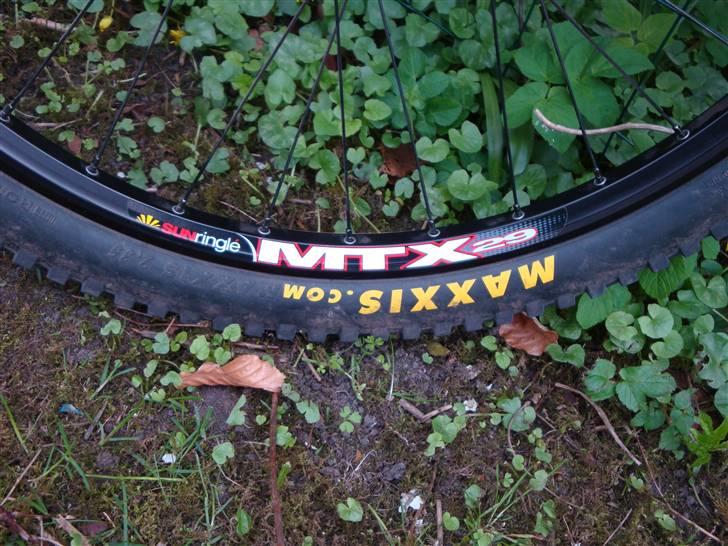 DMR Transition 26'' billede 7