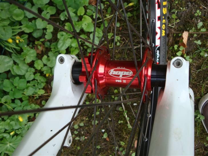 DMR Transition 26'' billede 8