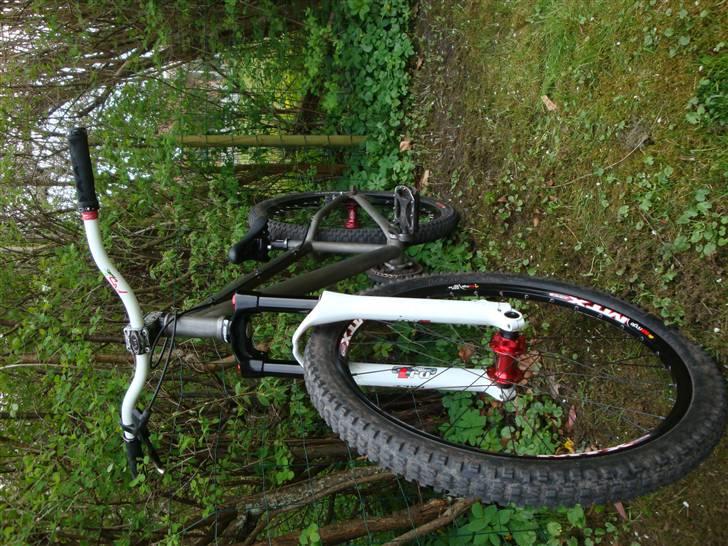 DMR Transition 26'' billede 10