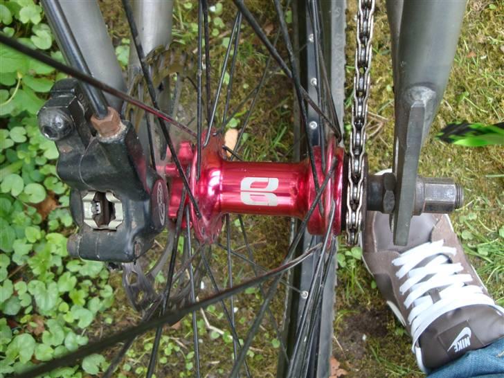 DMR Transition 26'' billede 13