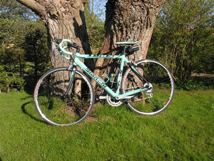 Bianchi 1885 billede 1