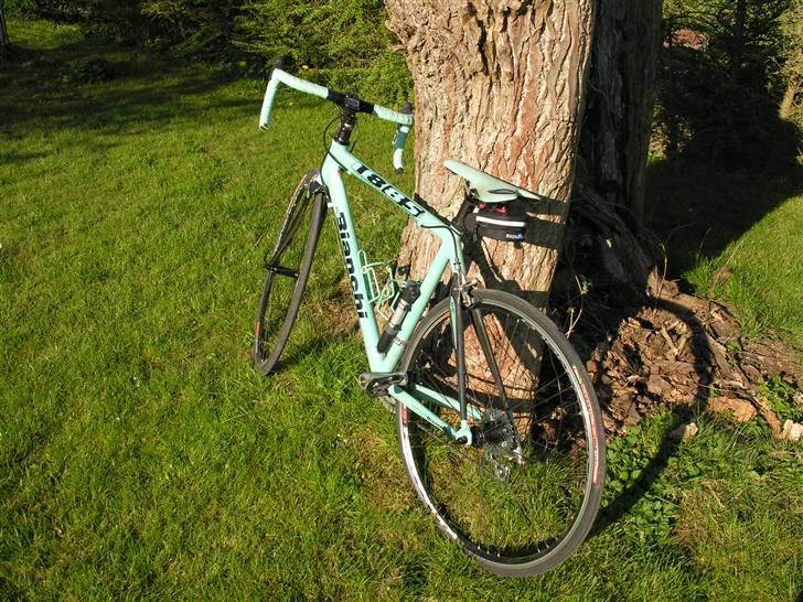 Bianchi 1885 billede 2