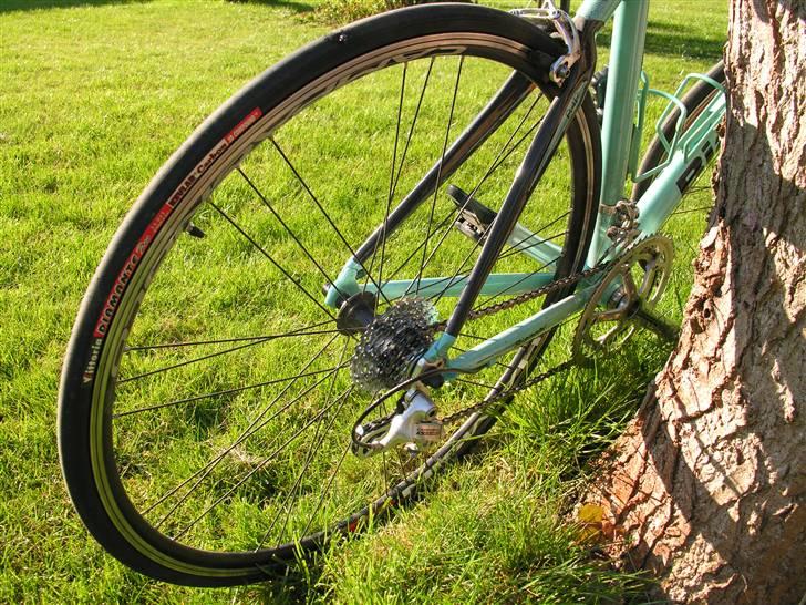Bianchi 1885 billede 3
