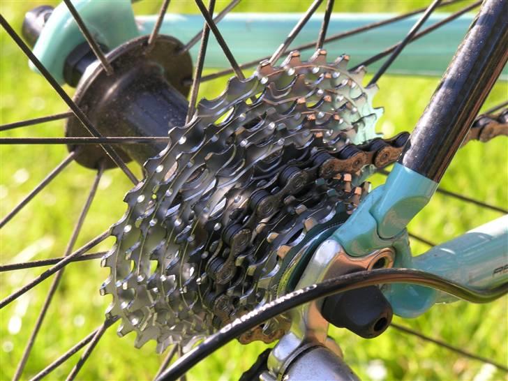 Bianchi 1885 billede 5