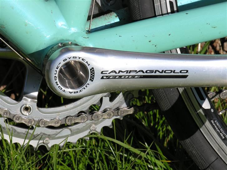 Bianchi 1885 billede 7